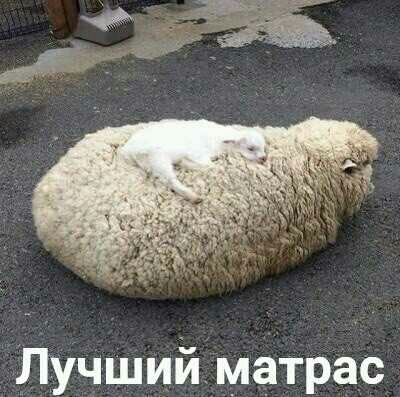 ЛУчшийматрас