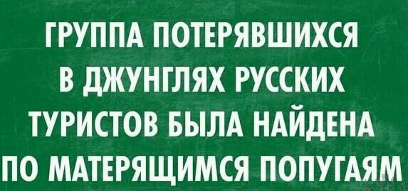 ГРУППА ПОТЕРЯВШИХСЯ В дЖУНГЛЯХ РУССКИХ ТУРИСТОВ БЫЛА НАЙДЕНА ПО МАТЕРЯЩИМСЯ ПОПУГАЯМ