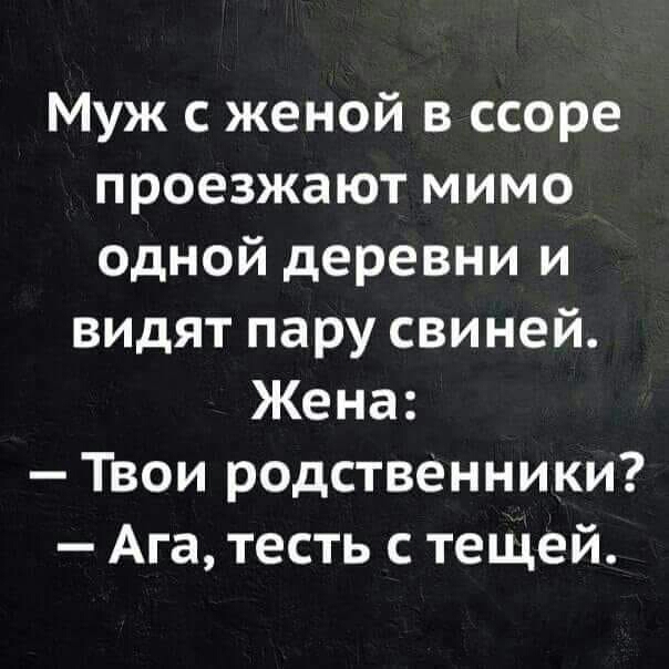 Муж с женой в ссоре проезжают мимо одной деревни и видят пару свиней Жена Твои родственники Ага тесть с тещей