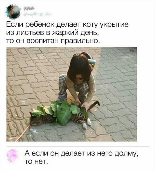 в не Если ребенок делает коту укрытие ИЗ ЛИСТЬеВ В Жаркий День ТО ОН воспитан ПРЭВИЛЬНО А если он делает из него долму то нет