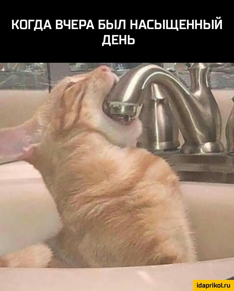 КОГДА ВЧЕРА БЫЛ НАСЫЩЕННЫЙ