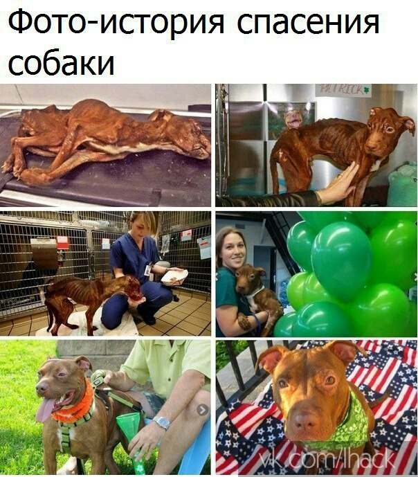 Фото история спасения