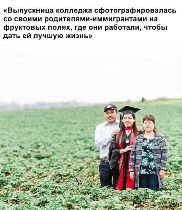 Выпускница колледжа сфотографировапась со своими родителями иммигрантами на фруктовых полях где они работали чтобы дать ей лучшую жизнь