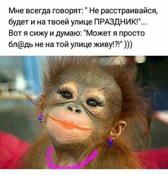 Мне всегда говорят Не расстраивайся будет и на твоей улице ПРАЗДНИК Вот я сижу и думаю Может я просто бпдь не на той улице живу