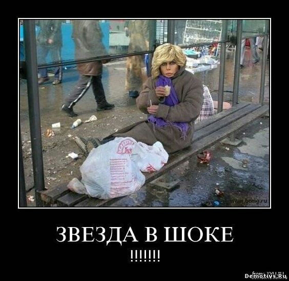 ЗВЕЗДА В ШОКЕ веЁіЫШШЁЁ