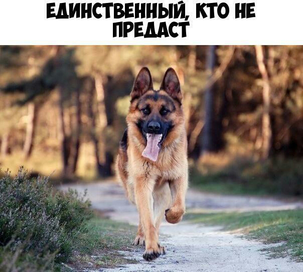 ЕДИНСТВЕННЫИ КТО НЕ