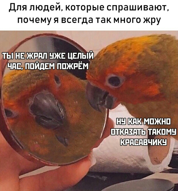 Для людейкоторые спрашивают почему я всегда так много жру тыьнъ жпдп нжъ цвпыи нпс ППЙдЕМ ппжпЁм