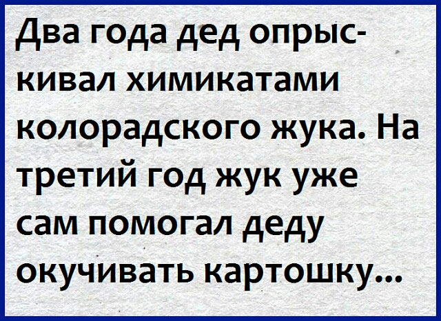 Два года дед опрыс кивал химикатами колорадского жука На третий год жук уже сам помогал деду окучИвать картошку