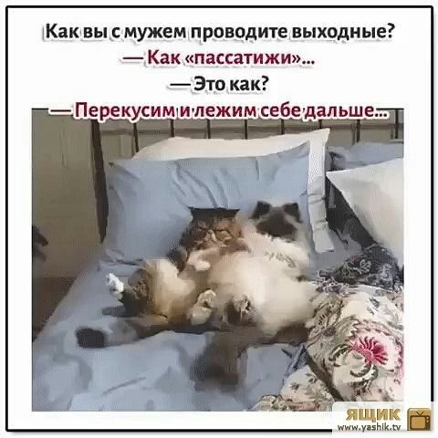 Каквы мужем проводите выходные Как пассатижи Это как Перекусим Ичпежим себедапьше ящик и ам