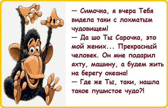 Симочка вчера Тебя видела таки лохматым чудовищем Да то Ты Сарочка это мой жених Прекрасный человек Он мне подарил яхту машину и будем жить на берегу океана Где же Ты таки нашла такое пушистое чудо