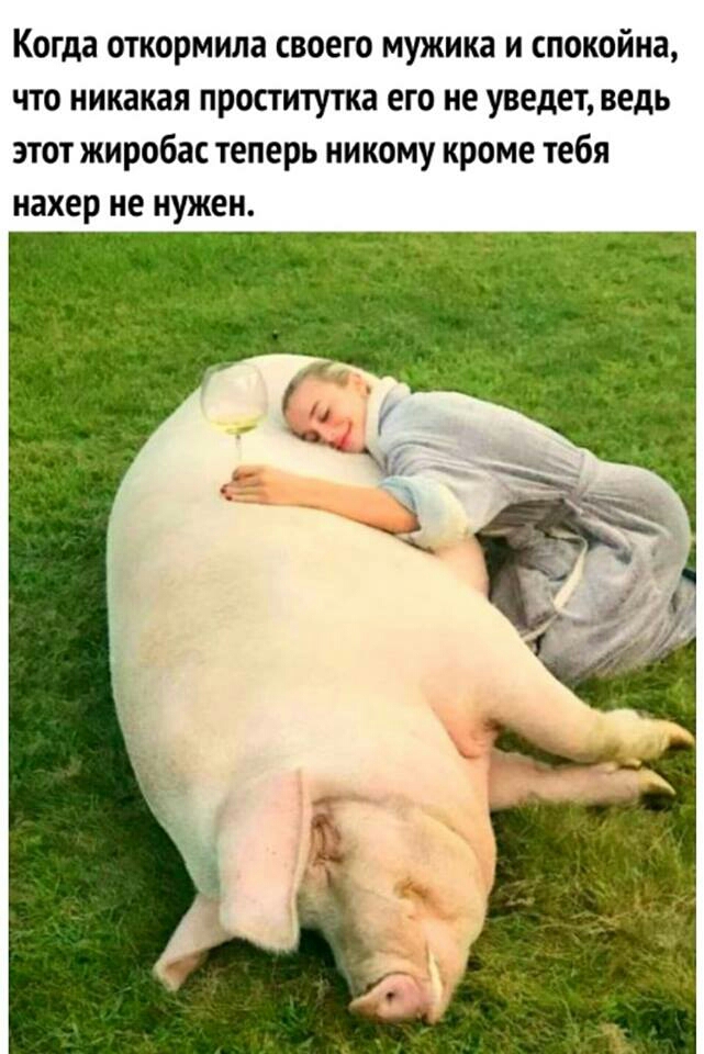 Когда откормила своего мужика и спокойна что никакая пропитка его не уведет ведь этот жиробас теперь никому кроме тебя нахер не нужен
