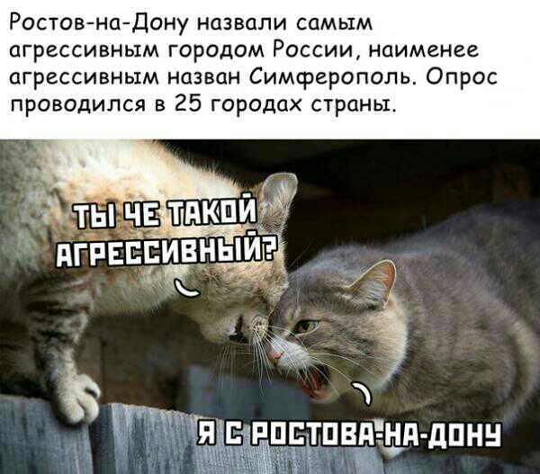 РостовнаДону назвали самым агрессивным городом России наименее агрессивным назван Симферополь Опрос проводился в 25 городах страны