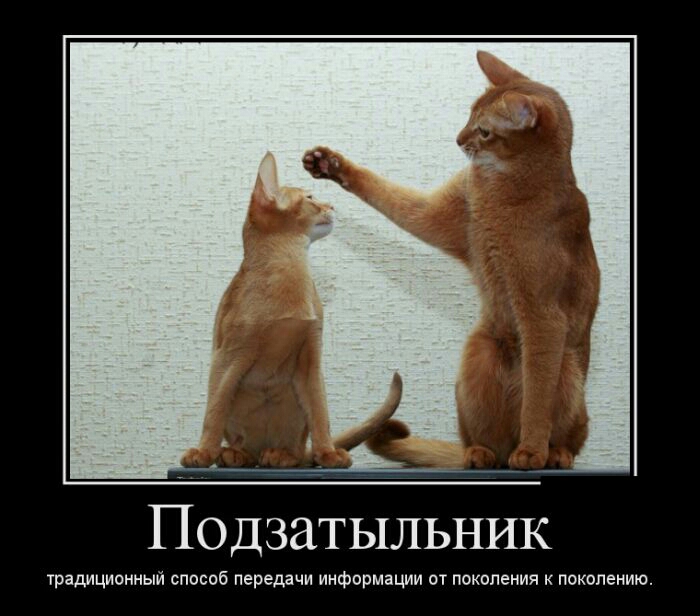 Подзатыльник традиционный способ передачи информации от поколения к поколению