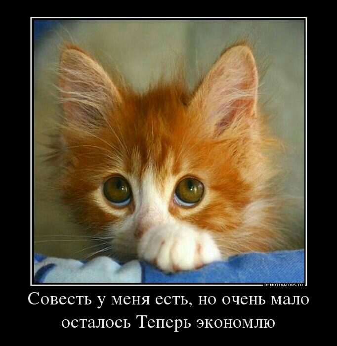 СОВССТЬ у МСНЯ ССТЬ Но очень мало осталось ТСПСРЬ ЭКОНОМЛЮ