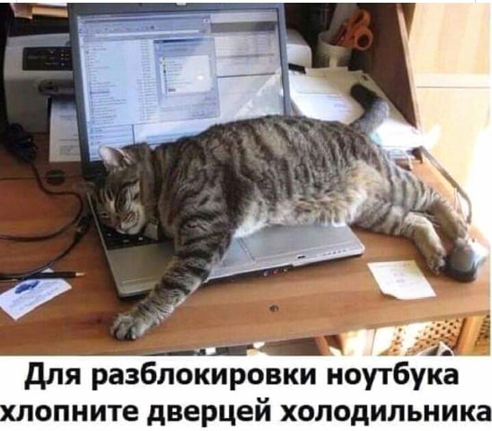 для разблоировки ноутбук опните дверцей холодильника