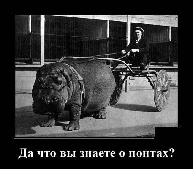 Да что вы знаете о понтах