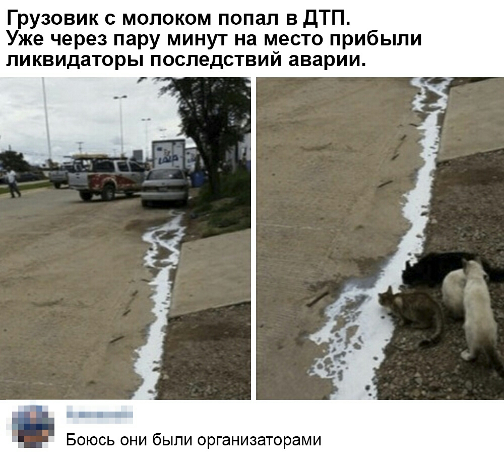 Грузовик с молоком попал в дТП Уже через пару минут на место прибыли ликвидаторы последствий аварии Боюсь они были организаторами