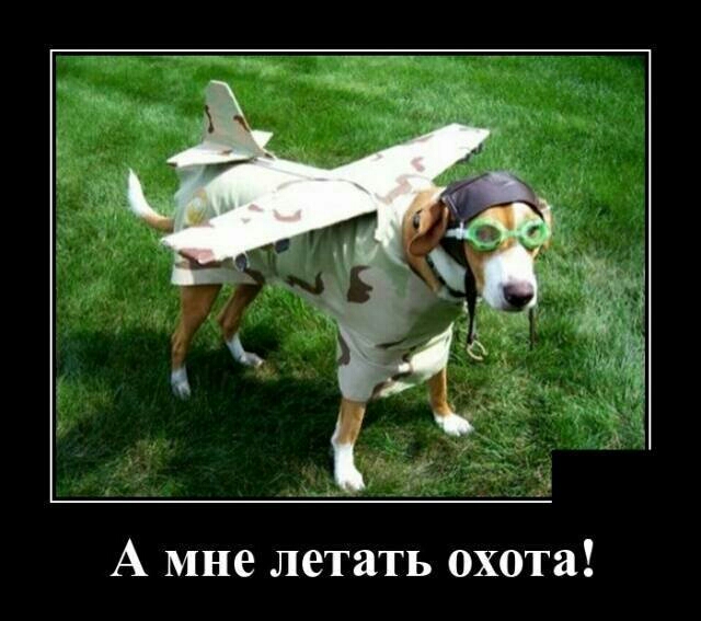 А мне летать охота