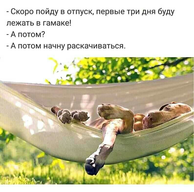 Третий день отпуска картинки