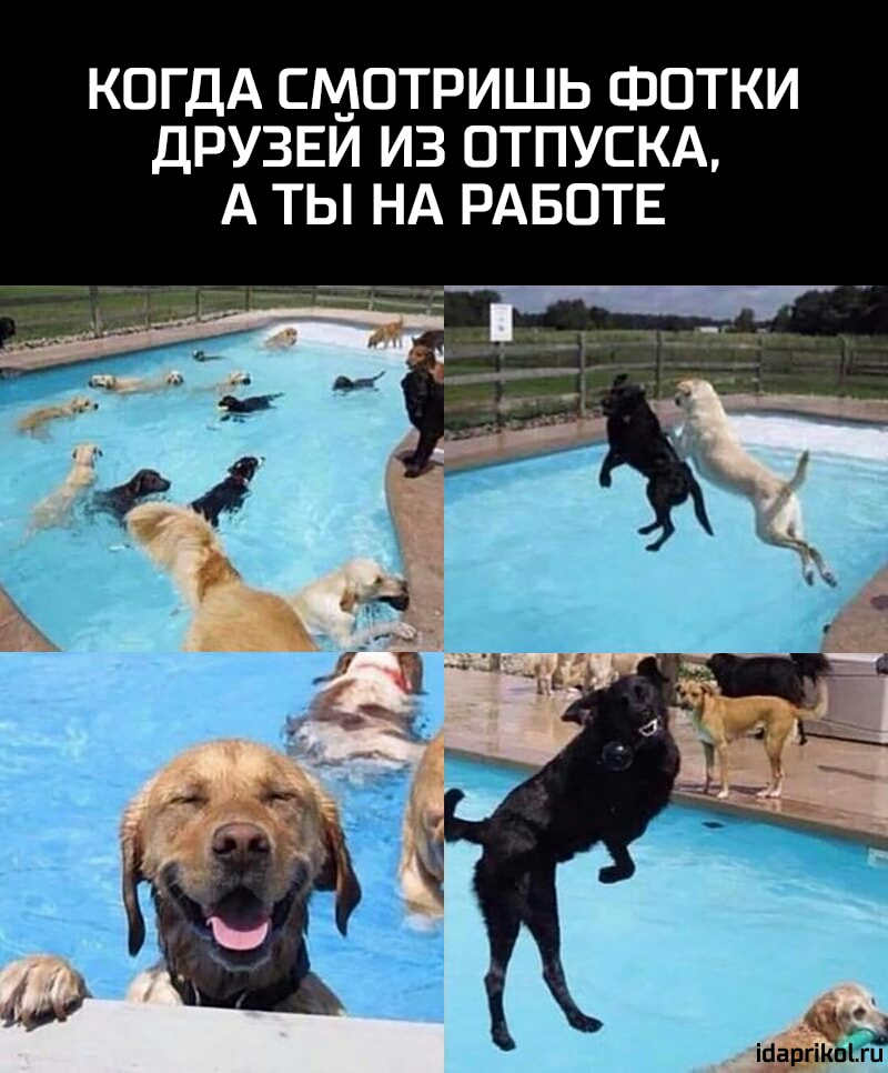 КОГДА СМОТРИШЬ ФОТКИ ДРУЗЕИ ИЗ ОТПУСКА А ТЫ НА РАБОТЕ ійаргіКЪЁ