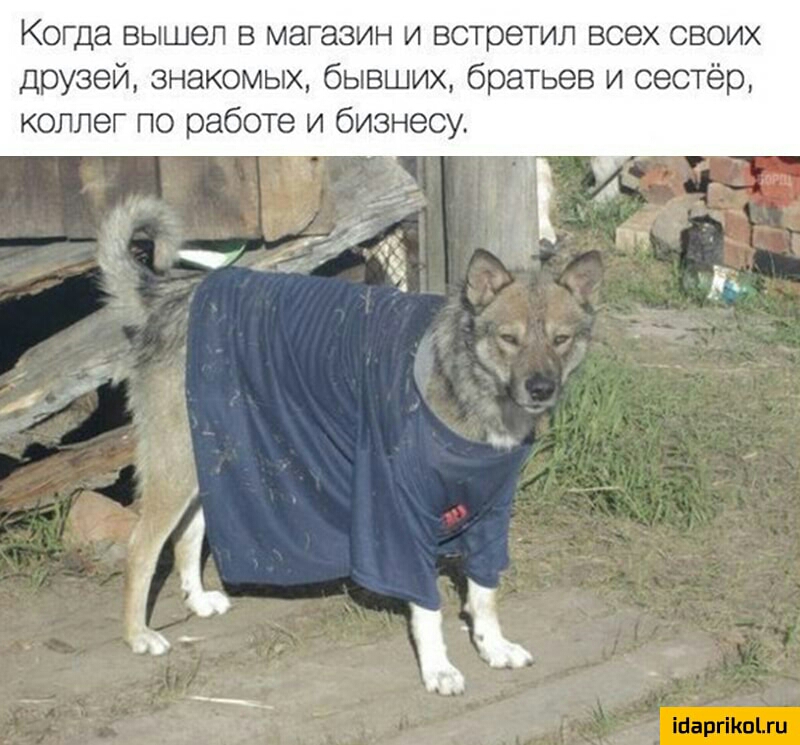 Когда вышел в магазин и встретил всех своих друзей знакомых бывших братьев и сестёр коллег по работе и бизнесу ійаргіКоЪги