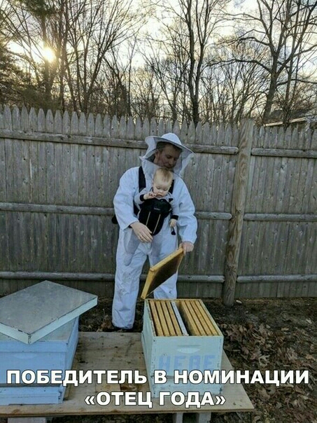 БЕДИТЕЛЬ В Н ПО