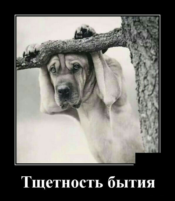 Я И п Ь б Ь Т с 0 Н Т е Щ Т