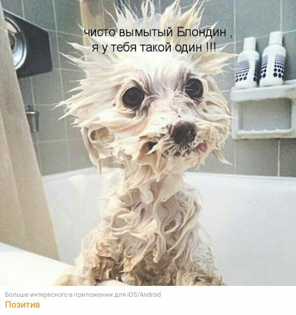 п иттэоп Григнету шп юэ мм