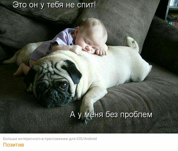 Это он у тебя не спит Ш А у м ня без проблем Позитив