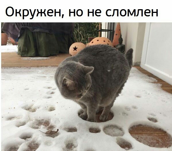 Окружен но не спомлен