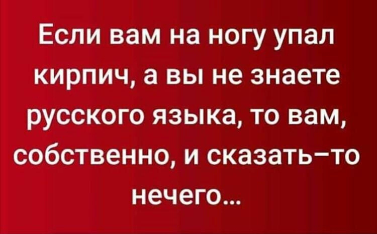 Если вам на ногу упал кирпич а вы не знаете русского языка то вам собственно и сказатьто нечего