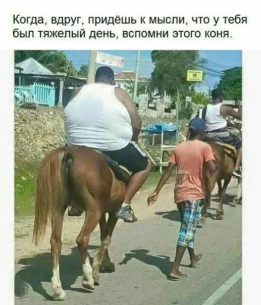 Когда вдруг придёшь к мысли что у тебя был тяжелый день ЕСПОМНИ ЭТОГО КОНЯ