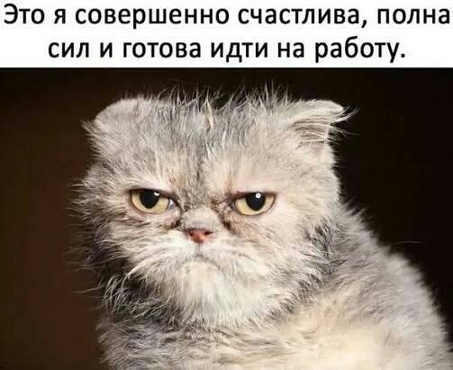 ЭТО Я совершенно СЧЭСТЛИВЗ ПОЛНЗ СИЛ И ГОТОВВ ИДТИ на работу