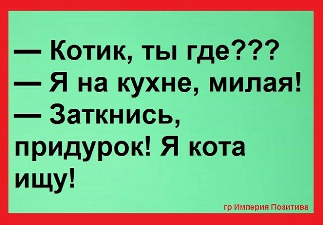 Котик ты где Я на кухне милая Заткнись придурок Я кота ищу