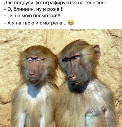 Две подруги фотографируются на телефон О блиииин ну и рожа Ты на мою посмотри Аяна твою и смотрела
