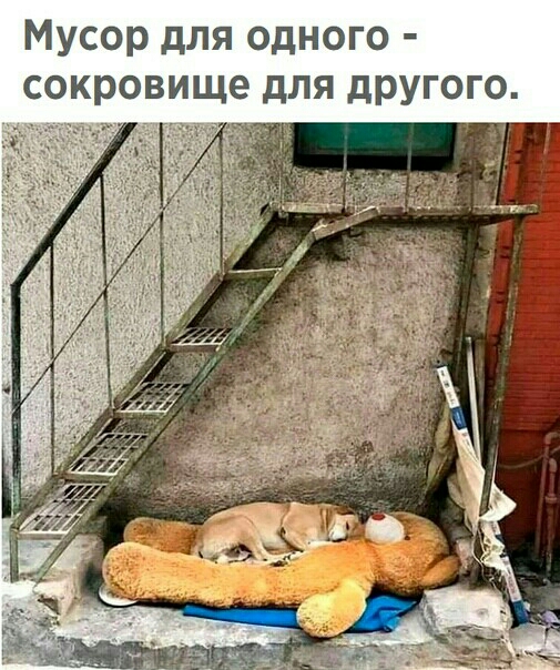 Мусор для одного сокровище для дРУгого