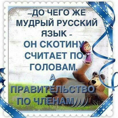 МУДРЙЫЙ русский язык он скотин