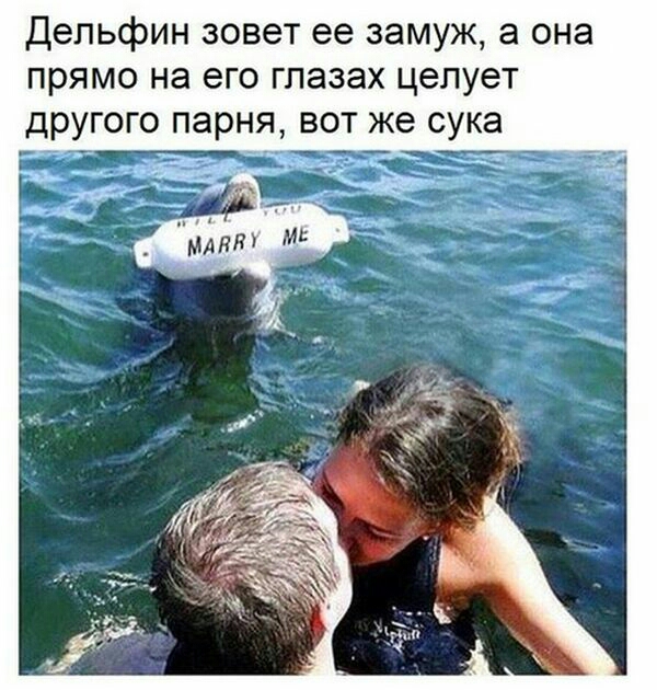 Дельфин зовет ее замуж а она прямо на его глазах целует другого парня вот же сука