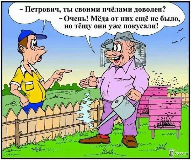 Петрович ты СВОИМ пчёлами 11050110 Очень Мёда от них ещё не было но тёщу они уже покусали