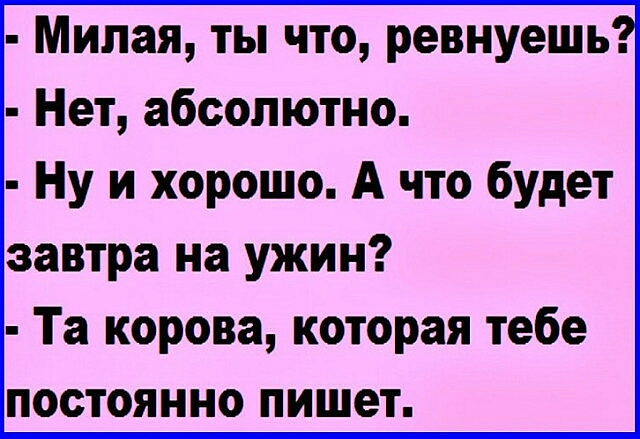 Милая ты что ревнуешь Нет абсолютно Ну и хорошо А что будет завтра на ужин Та корова которая тебе постоянно пишет