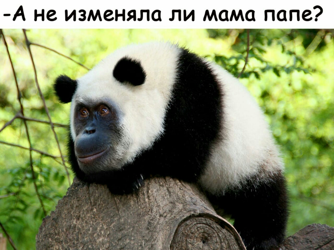 А не изменяла ли мама папе