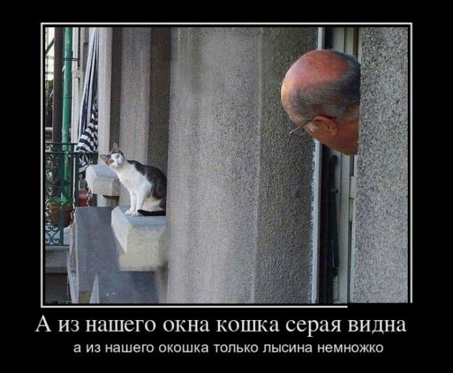 А ИЗ НЗШСГО окна кошка серая видна а из нашего окошка только пысина немножки
