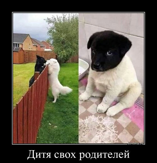 Дитя свох родителей