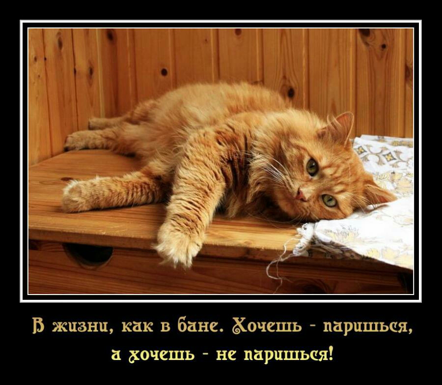 ЕЁ жизни как в бане ёіочешь паршшьая а дкочешь не парпшьая
