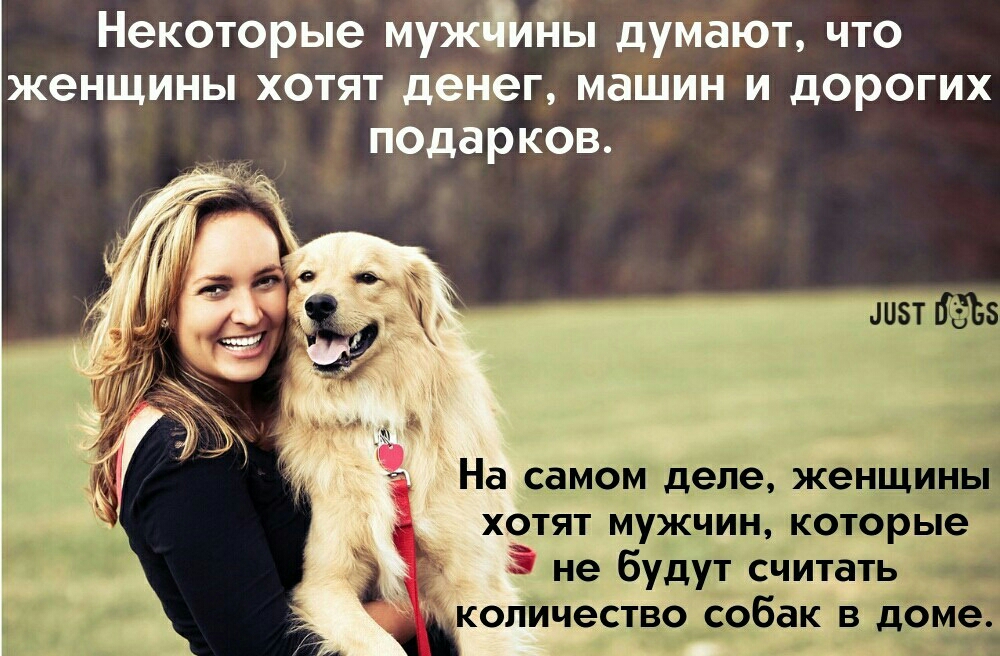 Некоторые муЁтлНЫ думают что женщины хотят нет машин и дорогих арков На самом деле женщ хотят мужчин которые не будут снитать щ колИчество собак в до
