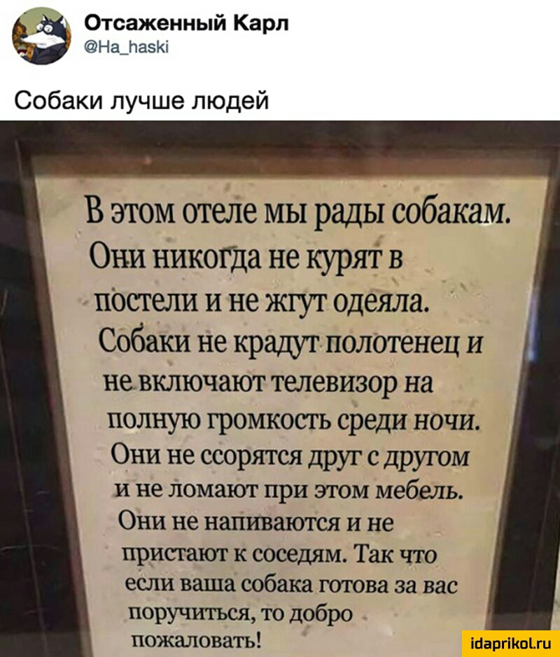 Отсаженный Карл НафазКі Собаки лучше людей В этом отеле мы рады собакам Они никоЩа не курят в Постели и не жгут одеяла Собаки не крадут полотенец И невключают телевизор на ПОЛНУЮ ГРОМКОСТЬ среди НОЧИ Они не ссорятся друг с другом и не ломают при этом мебель Они не напиваются и не пристают к соседям Так что если ваша собака готова за вас поручиться то добро пожаловать іыаргікпьш