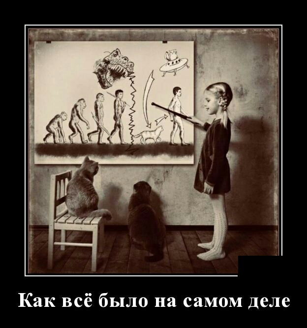 Как всё было на самом деле
