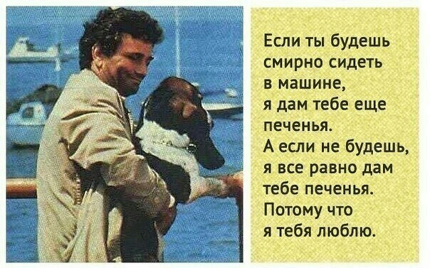 Если ты будешь смирно сидеть в машине я дам тебе _еще печенья А если не будешь явсе равно дам тебе печенья Потому что я гебя люблю