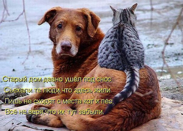 г г