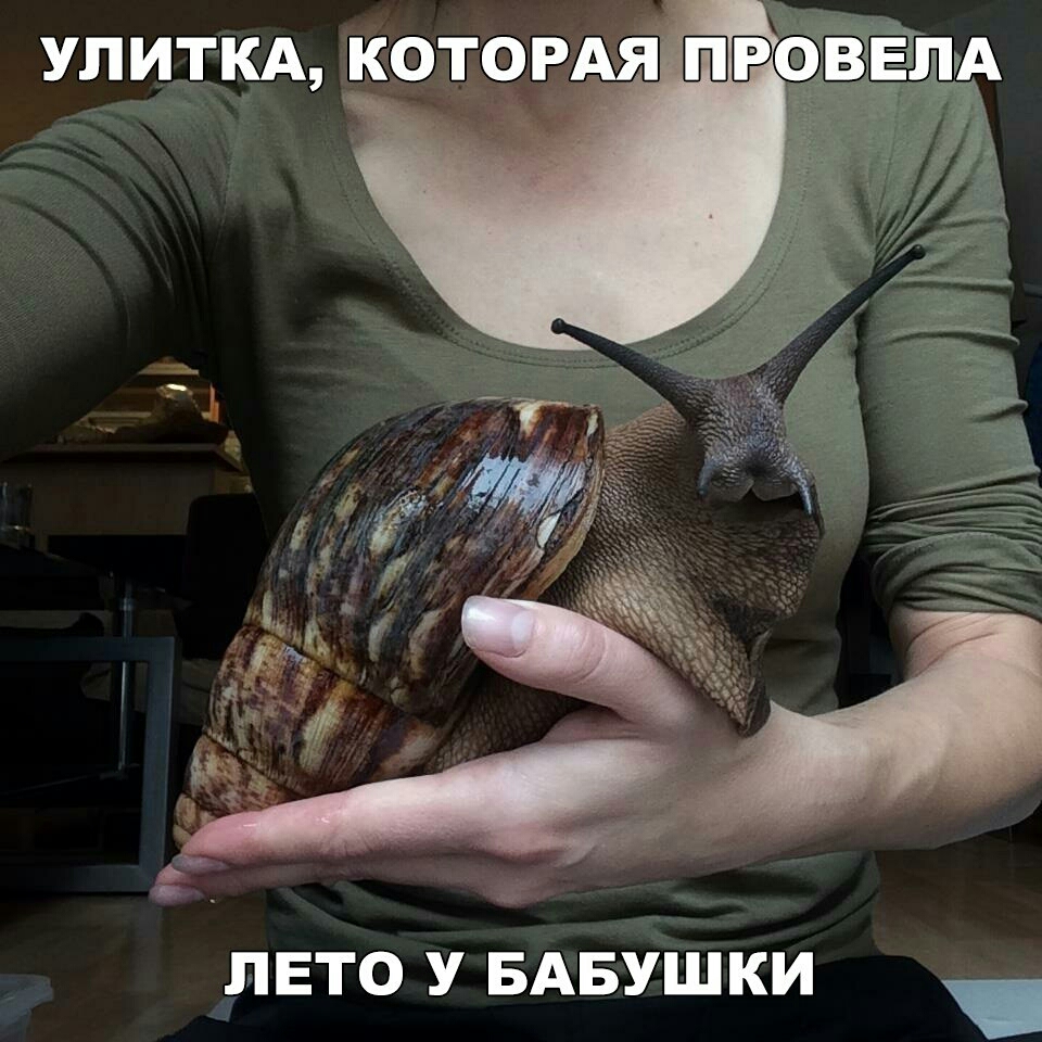 улицы котортбвлщ лай лето У БАБУшки